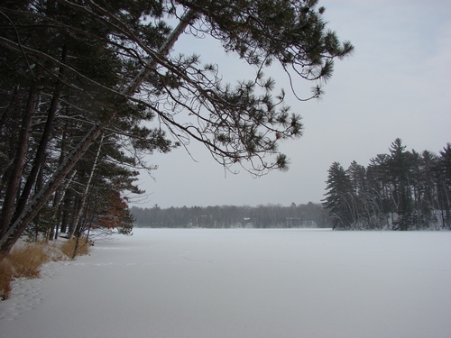 2009-01-17_03
