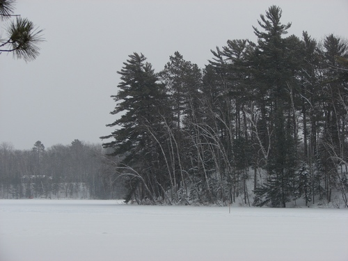 2009-01-17_04 The Point in fresh snow