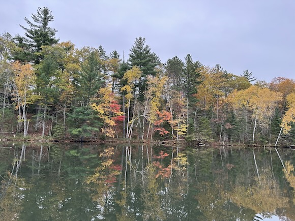 Fall Is On Full Display