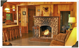 Fire place home
